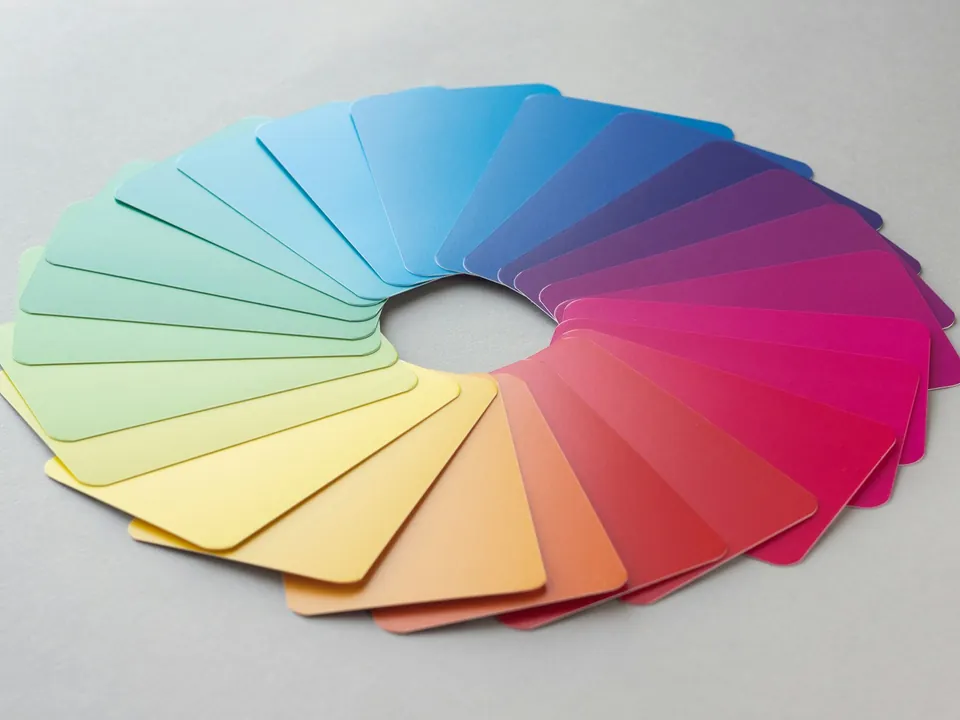 Physical color swatches arranged in a wheel to explore a brand palette